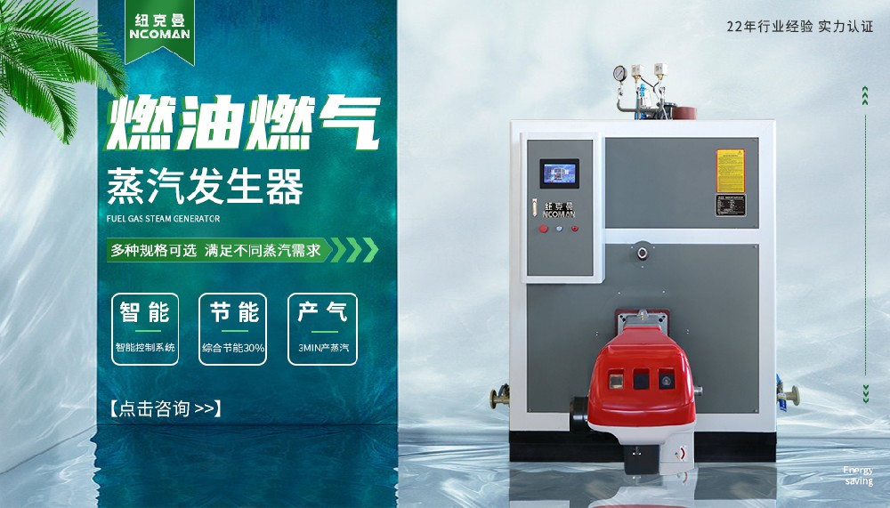 蒸汽發生器哪種比較好；紐克曼蒸汽發生器